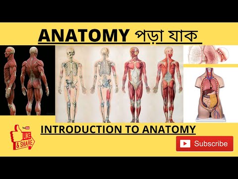 INTRODUCTION TO ANATOMY l ANATOMY পড়া যাক