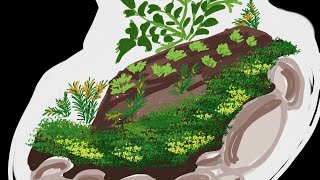 Terrarium