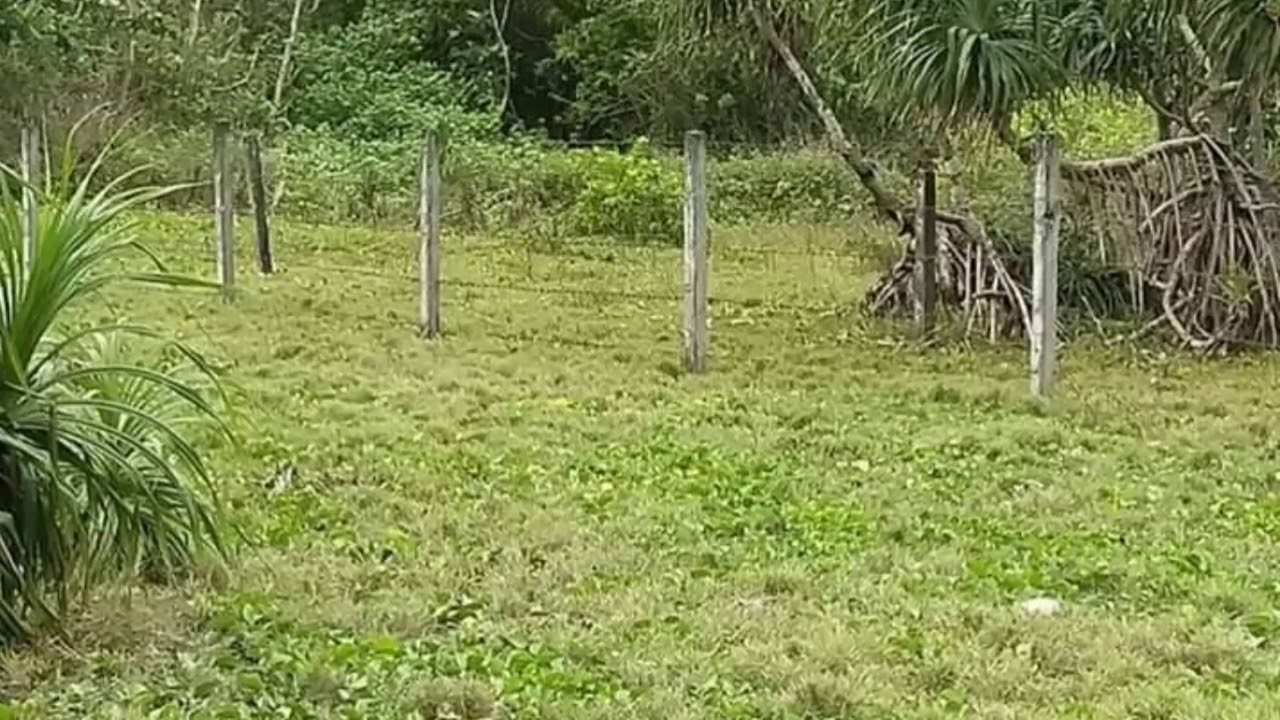 Baler Aurora "Sabang Beach front" Bpnavarro ZERO interest Lot