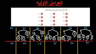 الصف السادس حل تدريبات درس العوامل الاوليه