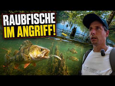 This lake is DANGEROUS – and the hunt begins underwater!