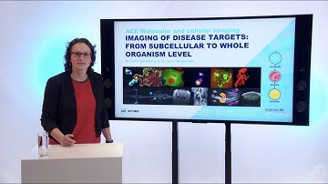 Molecular Imaging of disease targets: from subcellular to whole organism level
