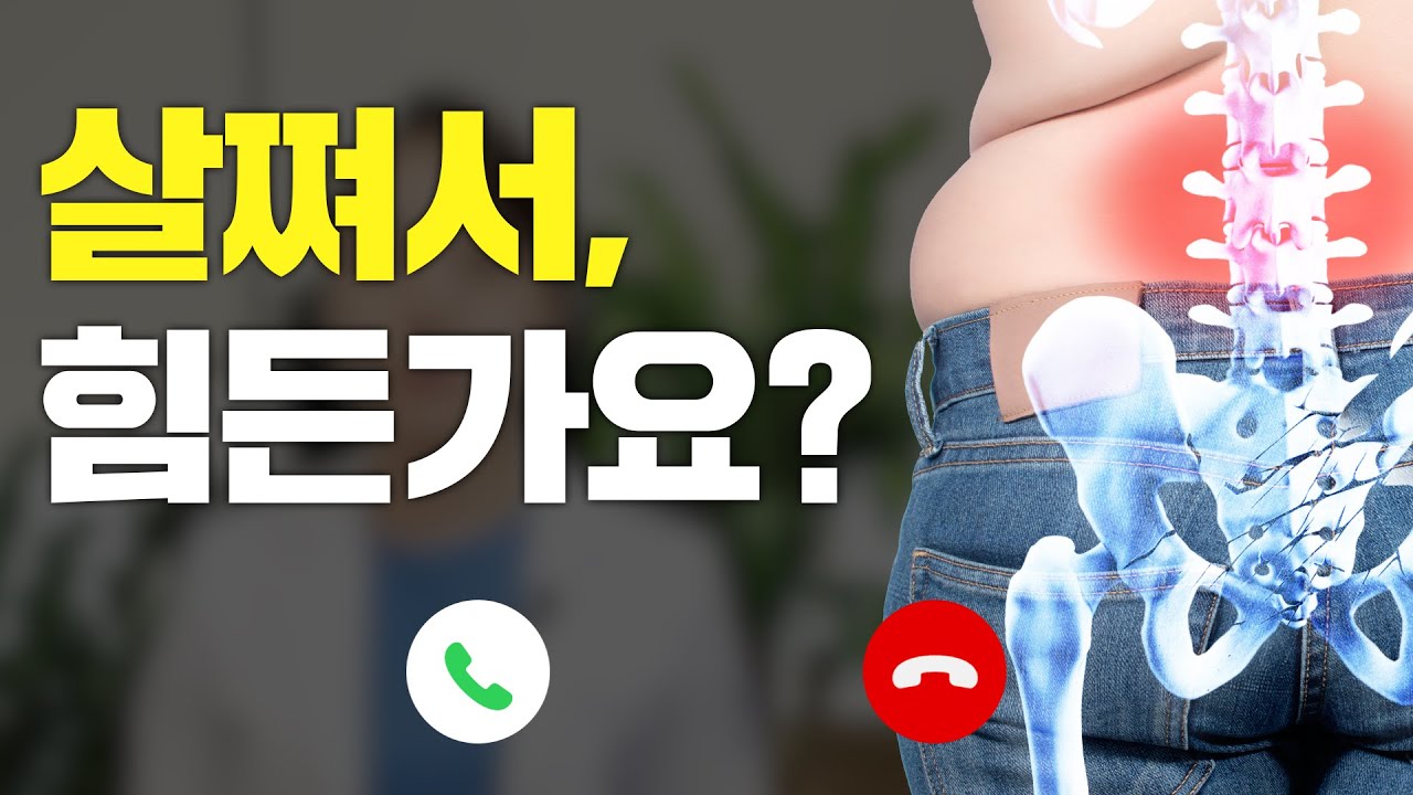 비만 클리닉