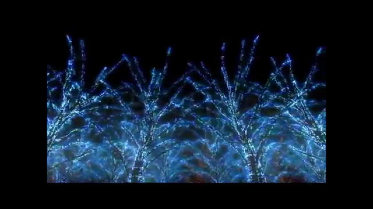 Zabii 真坂美帆 仲埜希 願い花 クリスマスソング Youtube