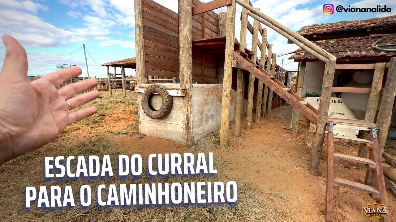 Escada para caminhoneiro acessar o embarcador do curral.