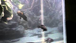 100_0340.AVI