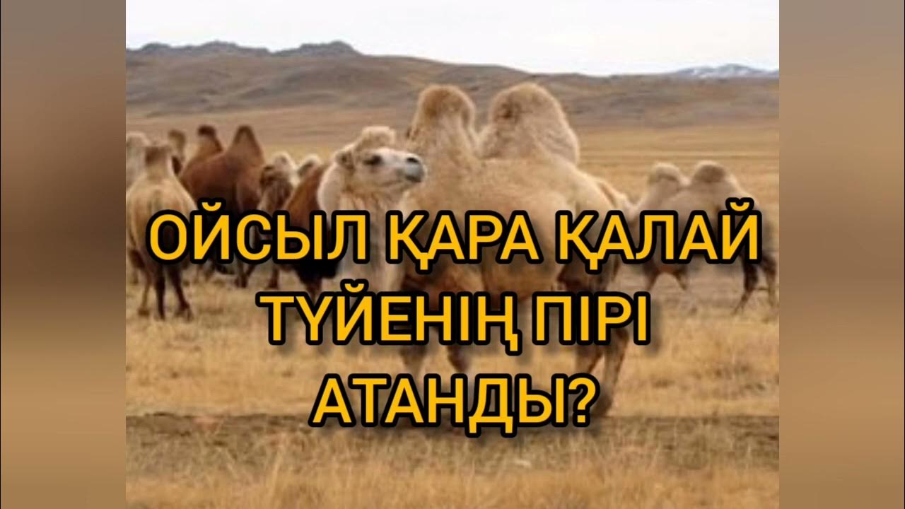 Өте мас және сезімсіз орыс әйелімен жыныстық қатынас