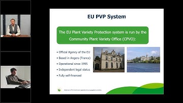 Technical examination of plant varieties applying for CPVR. Part II: Vegetatively propagated species