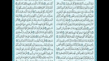 سورة الملك _ بصوت : أنس العمادي