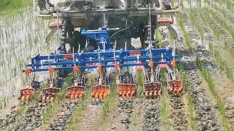 KUBOTA Plantadora de arroz rice transplanter paddy weeder