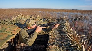 Public Land Duck Hunting.. Most Frustrating Thing Happened Twice