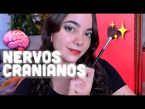 ✨ASMR ROLEPLAY | Doutora com memória de curto prazo examina seus NERVOS CRANIANOS✨