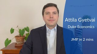 Attila Gyetvai - Job Mobility Within And Across Occupations Trailer