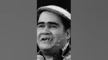 طلعت فوق السطوح سيد زيان حالات 