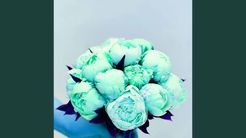 Dashing Backdrops for Cute Celebration