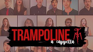 TRAMPOLINE (SHAED) \\ Twisted Measure A Cappella \\ Official Music Video