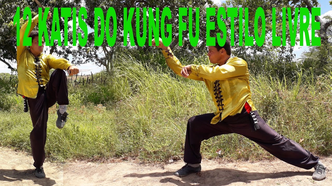 12 Katis do Kung Fu Estilo Livre