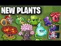 NEW Plants in Plants Vs Zombies 2 PvZ2 New Plants 