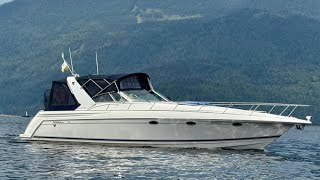 FORMULA 41 Performance Cruiser