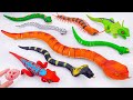[🐍Toy Asmr🐍] Zuru Robo Alive: RC Cobra Snake  - Snake &amp; Insect Toy | Satisfying Unboxing ASMR
