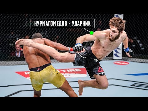 Ураган в Клетке! Саид Нурмагомедов - Ещё Один Чемпион UFC?