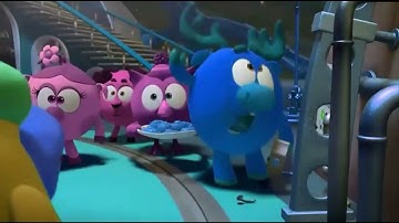 Bruise effects in reversed