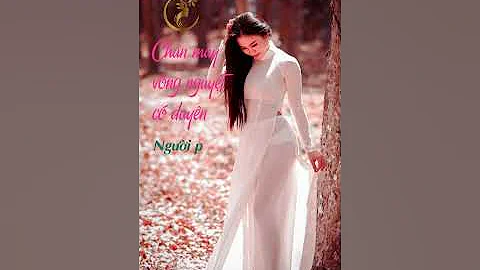 Người mẫu | Áo dài xuyên thấu | Á dài mõng dính 8