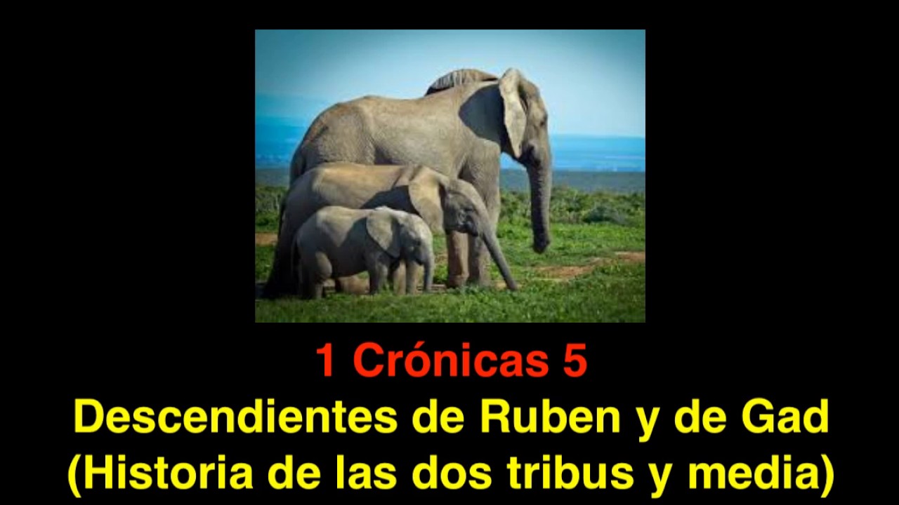 1 Crónicas 5 Descendientes de Ruben y de Gad. Historia de las dos