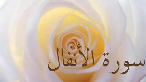 سورة الأنفال 8