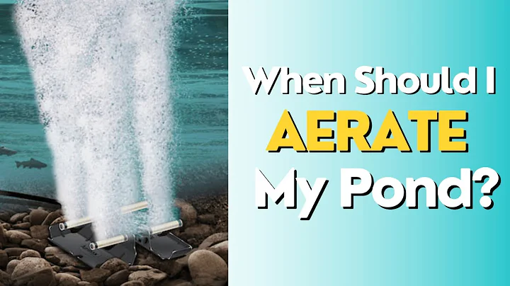 When Should I Aerate My Pond?