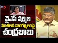 YS Sharmila gave a statement that Avinash Reddy had a role in Viveka's murder case, alleges Chandrababu