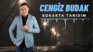 Cengiz Budak - Sokakta Tanıdım / En Yeni Arabesk (Damar) 2024✔️