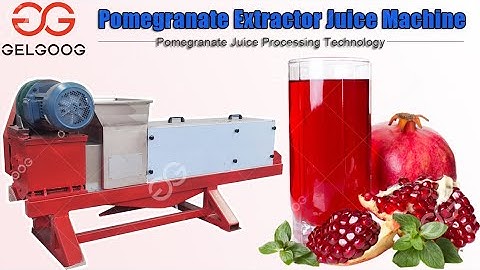 Pomegranate Juice Processing Technology Pomegranate Extractor Juice Machine