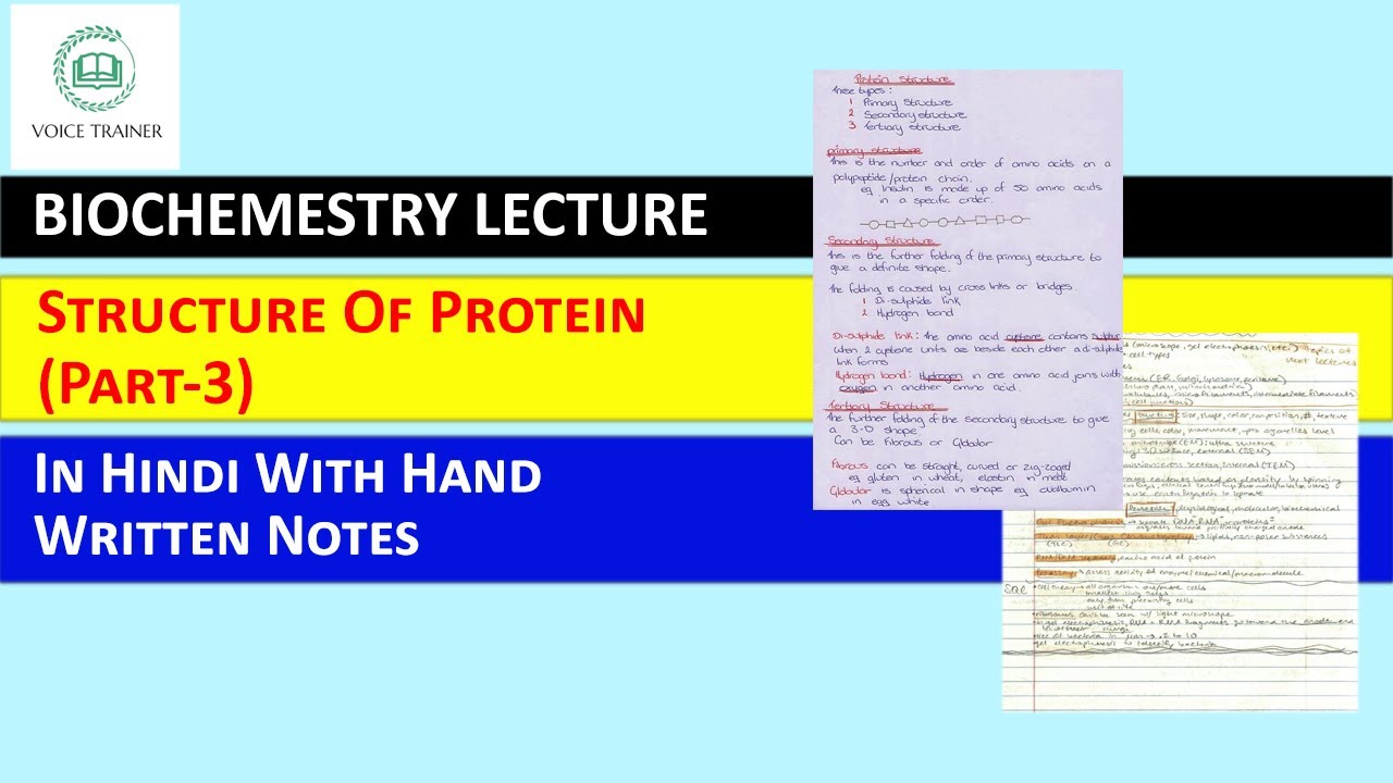 Proteins Structure Of Protein in Hindi (Part3) By Voice Trainer