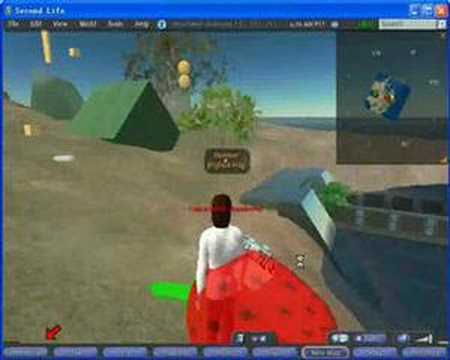 Basic introduction of Second Life