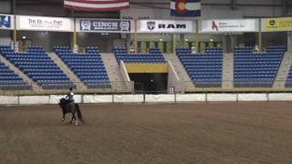 Freebie CAHC Spring Show