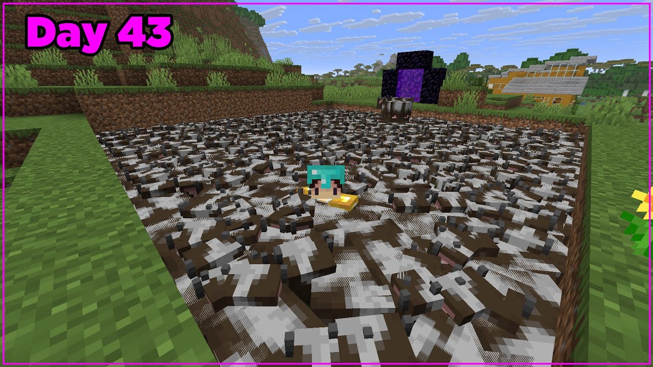Minecraft: Have Fun - Day 43 - YouTube
