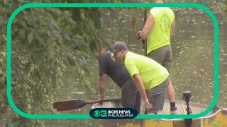 Wildlife officials searching for an alligator on the loose in North Jersey