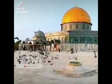 المصطفى الصافي صلى عليه الله