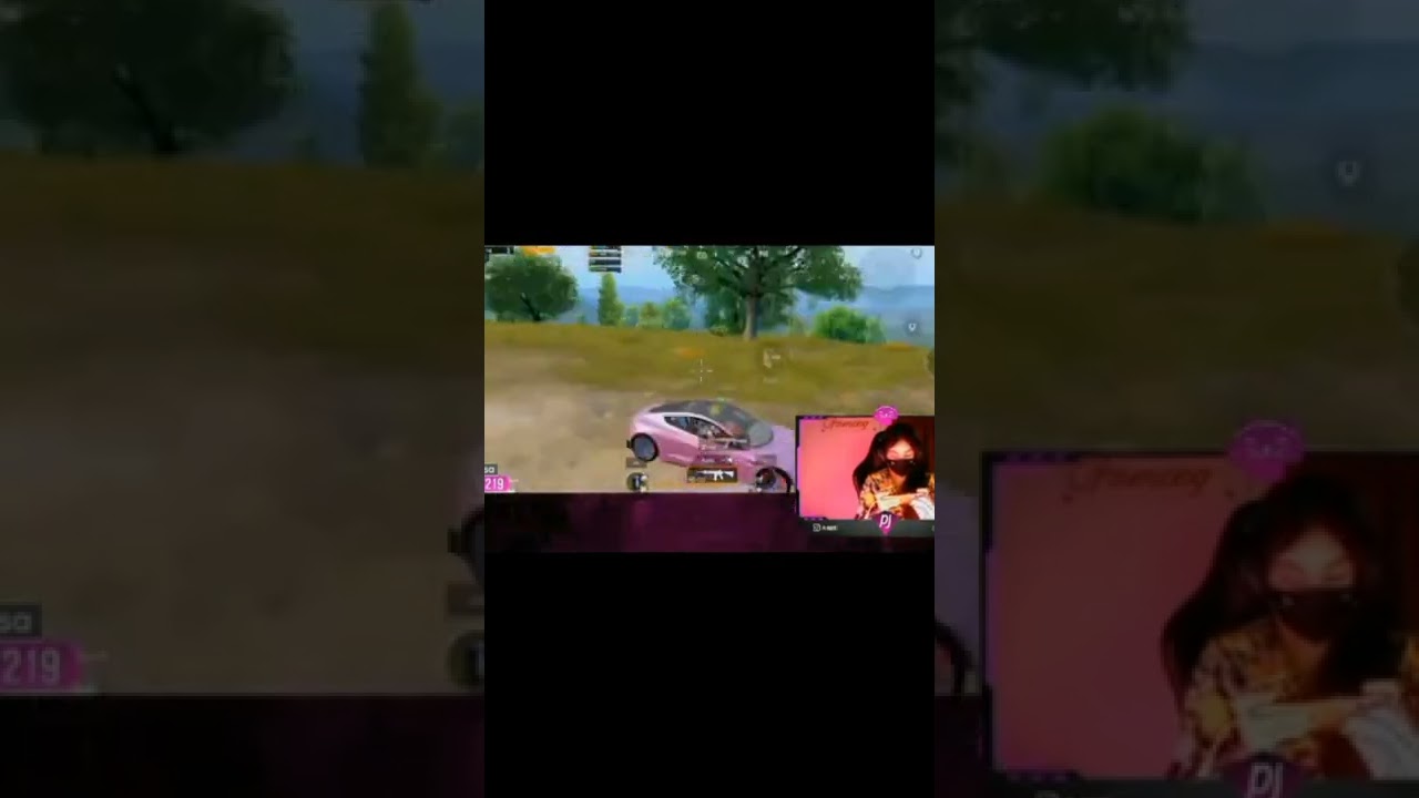 best gamming for pj hayat