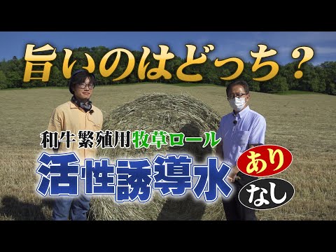 【和牛繁殖用牧草で実験】活性誘導水の添加あり・なしで出来具合を比較！～実験内容・作業風景【第201回】