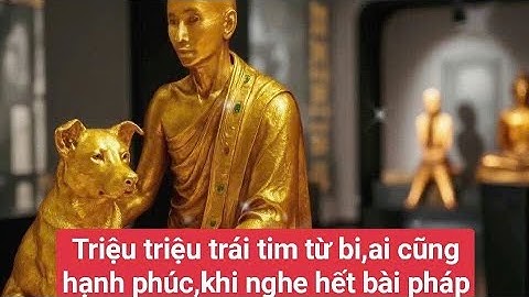 Chiều 29/9 triệu triệu trái tim từ bi yêu kính Ngài,ai cũng khóc vì hạnh phúc#suminhtue 