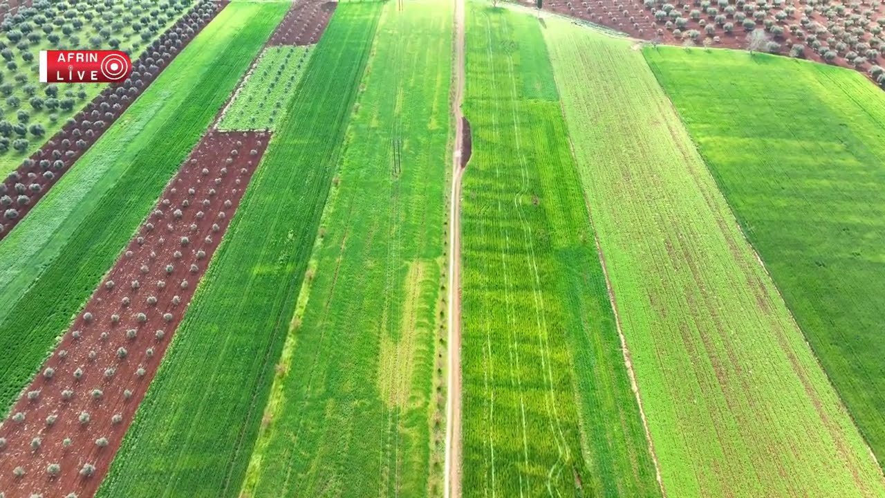قرية معراته وكفر شيل في لقطة جوية جميلة  سحر الطبيعة والجمال