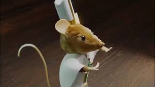 Rato Dancando Brega Funk