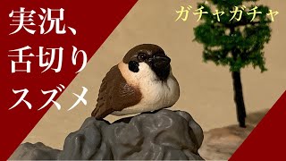 実況、舌切りスズメ【ガチャガチャ】