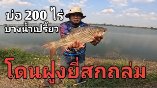 ตกปลาหน้าดินบ่อ 200 ไร่ บางน้ำเปรี้ยว