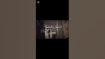 #قران_كريم #المصحف #اللحيدان #قرآن #محمد_اللحيدان #سورة_آل_عمران