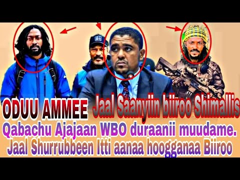 Jaal Saanyiin Biiroo Shimallis Qabachu Fi Jaal Shurrubbeen Itti Ana Isa Tahu Fi Ibsa Jaal Marroo 