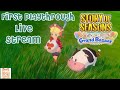 Story of Seasons: Grand Bazaar ~ Day 12 ~ Start of Winter Year 1, Bazaar Rank 6!☃️