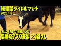 常勝会テスリ華梨(元：二代目テスリ産業パンダ)ｘ嵐丸 2023.1.2　【沖縄闘牛】